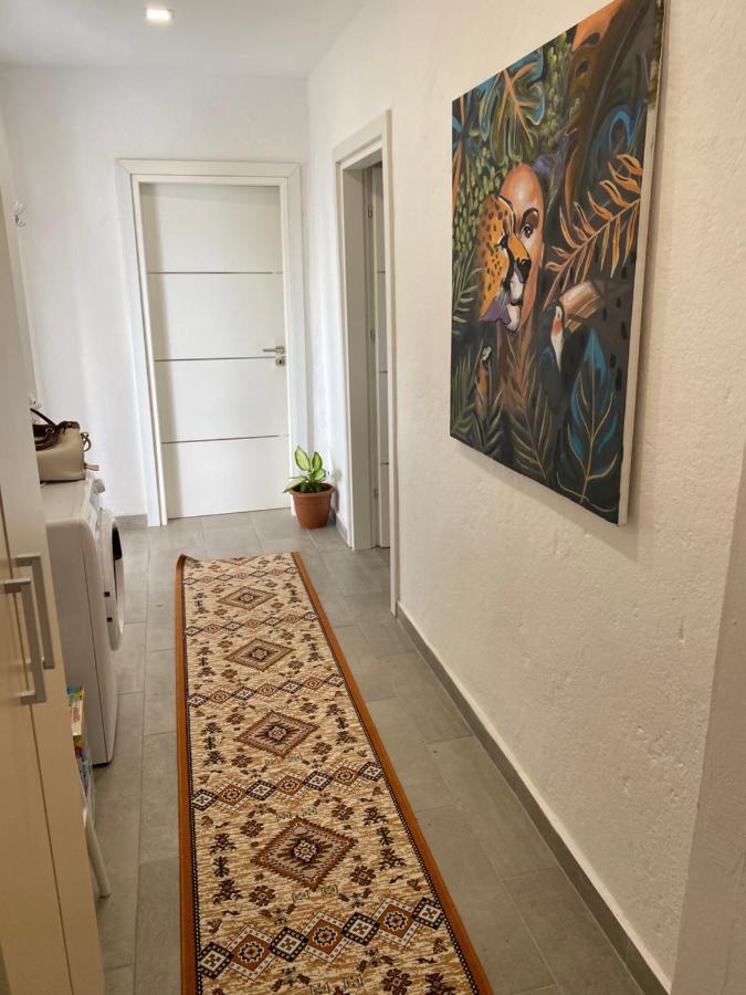 Maison Bellevue - 2 Bdrm Villa In Borsh Beach المظهر الخارجي الصورة